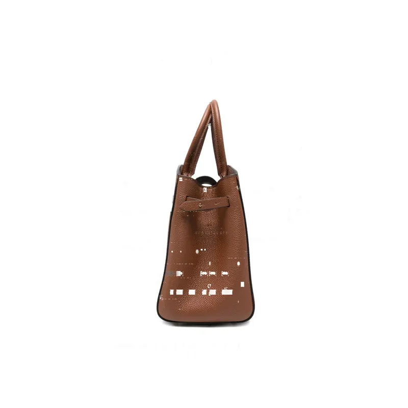 HUDSON Bags Brown - Demellier