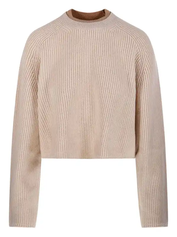 Crew Neck Sweater In Cashmere Wool - Max Mara