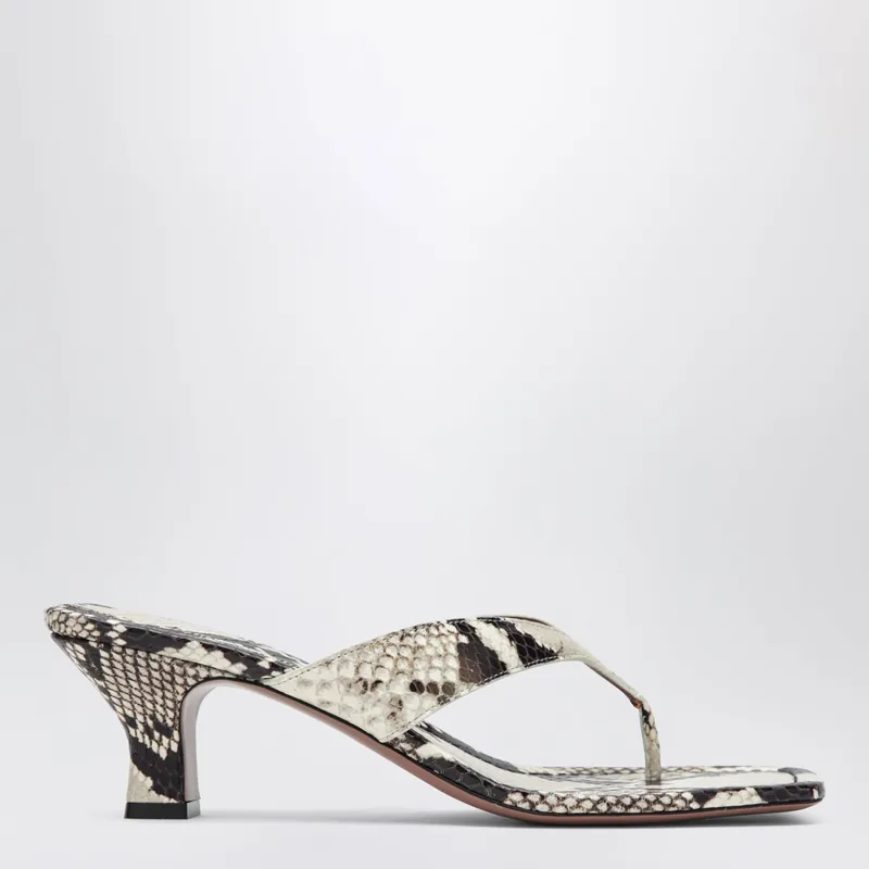 Python-Print Thong Slides