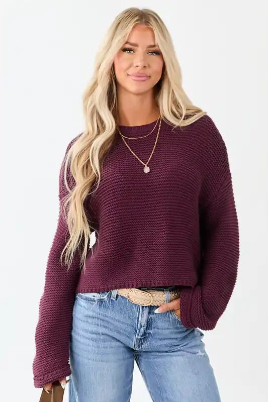 Plum Textured Knit Long Sleeve Crop Sweater - HYFVE