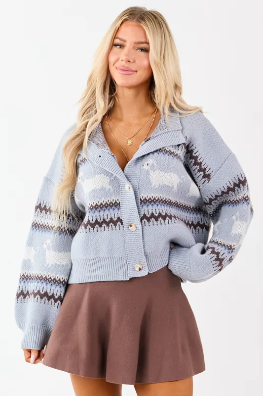 Powder Blue Fair Isle Pattern Button Down Cardigan - LE LIS