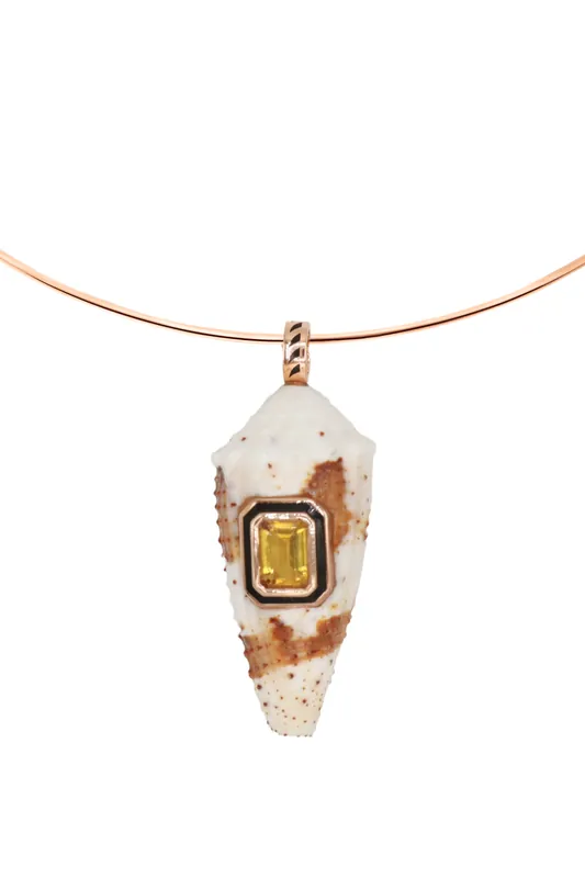 Conus Florida Shell with Emerald Cut Scapolite - Dezso by Sara Beltran