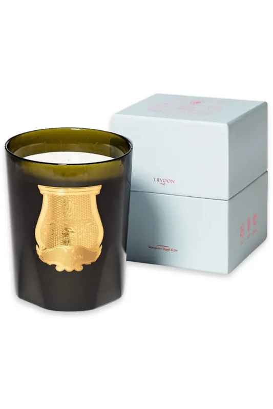Great Candle | Ernesto - Trudon