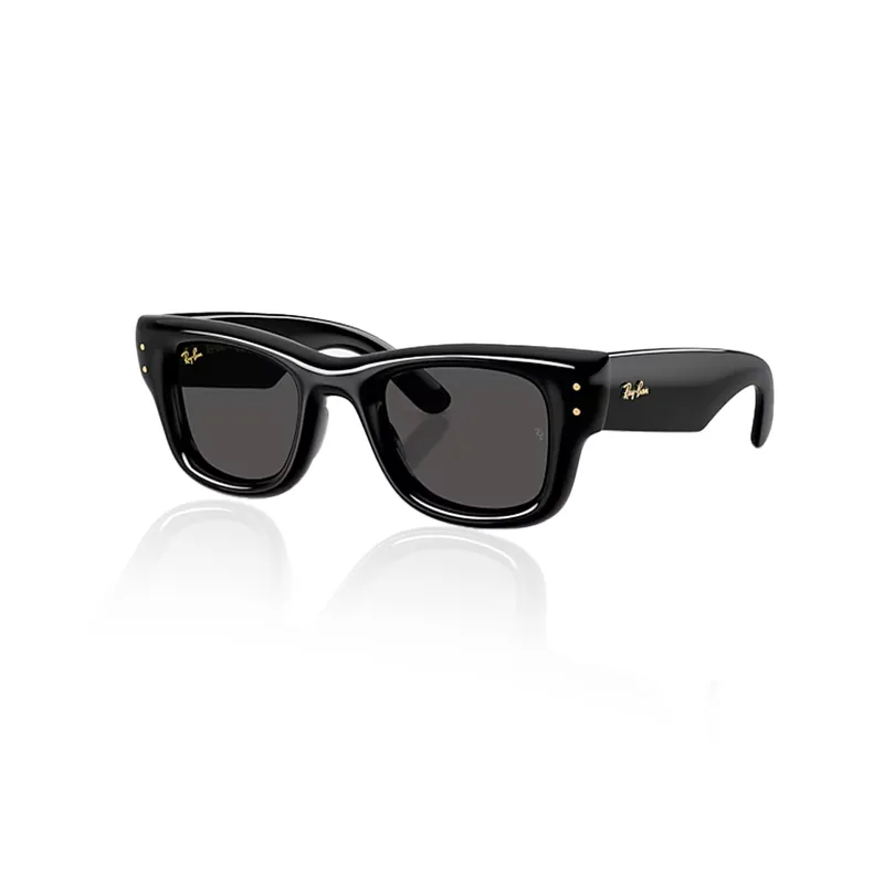 Ray-Ban Wayfarer Puffer Sunglasses Black Ultra Black