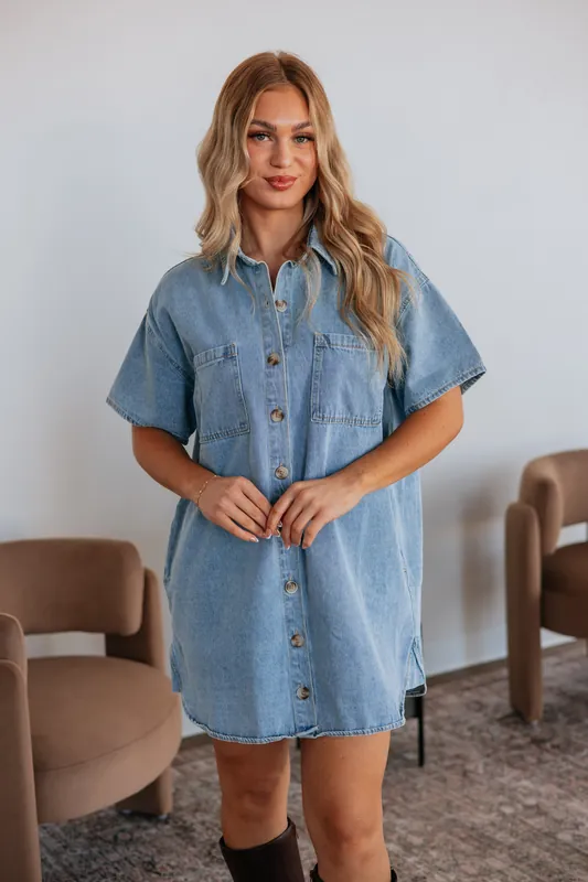 Tess Denim Dress - Wishlist