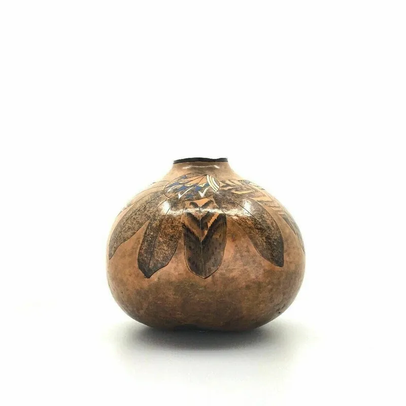 Vintage Native Navajo Gourd Vase Pot Brown Feathers Southwestern New Mexico - Unmarked