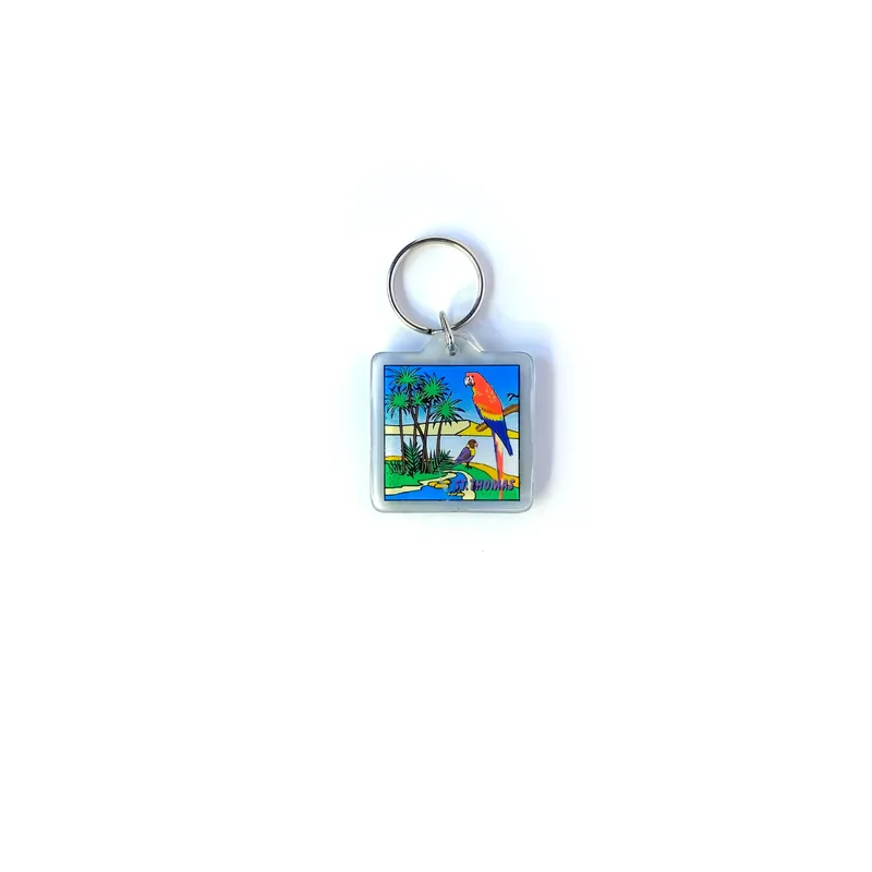 St. Thomas VI Travel Souvenir Keychain Key Ring Square Clear Acrylic - DMG