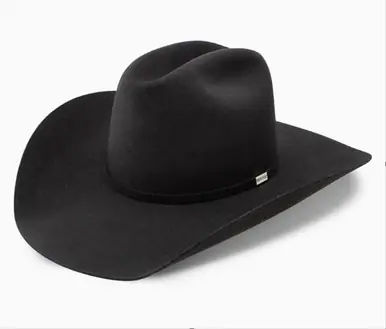 Resistol® Black Five Star Blended Felt/Wool Hat - Hats