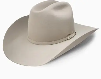 Resistol® 6X Midnight 4.25" Brim Cowboy Hat in Silver Belly - Brands