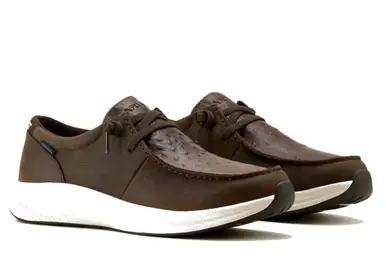 SALE Ariat® Men's Dark Ostrich Print Buckeye WP Casual Shoes - Sale Barn