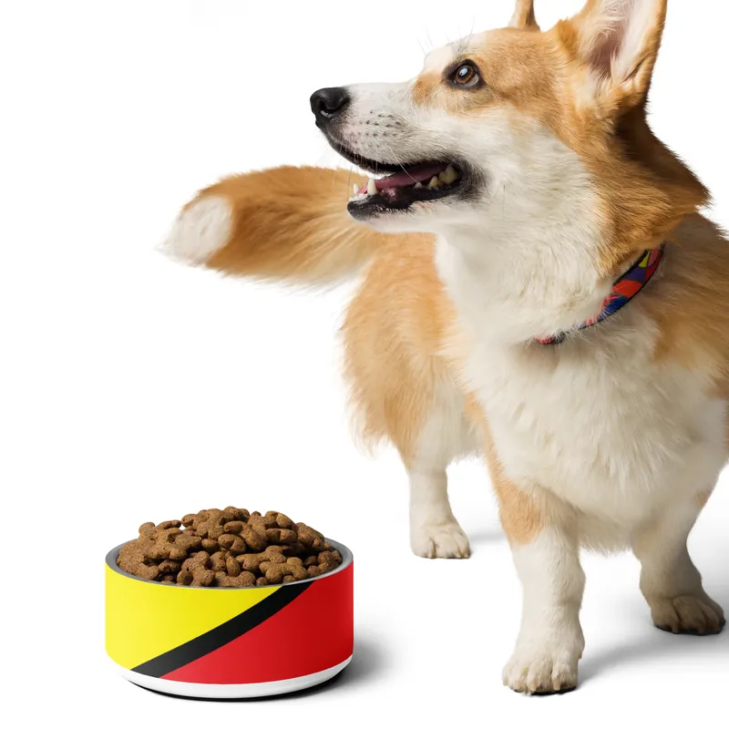 100s Doggo Bowl - Race Desert